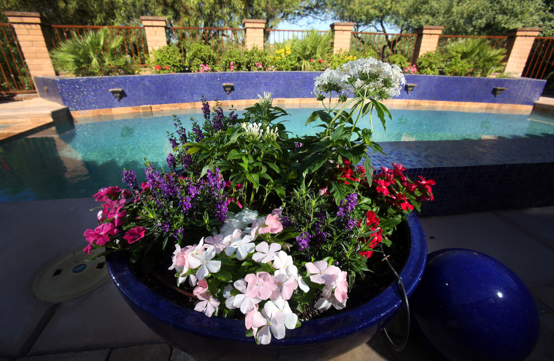 Container gardening